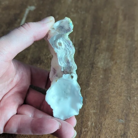 Decorative Shells - Picture 4 of 9